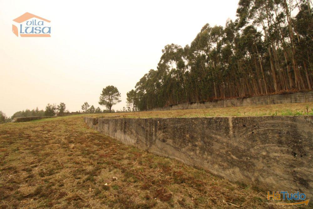 Terreno Olival com 11280 m2 Face a En 222 com 124 metros de Frente Terreno Olival com 11280 m2 Face a En 222 com 124 metros de Frente