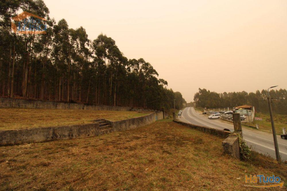 Terreno Olival com 11280 m2 Face a En 222 com 124 metros de Frente Terreno Olival com 11280 m2 Face a En 222 com 124 metros de Frente