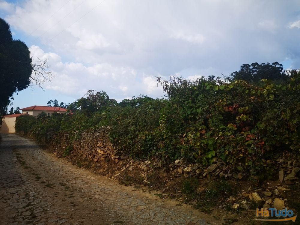 Terreno  Venda em Fradelos,Vila Nova de Famalicão