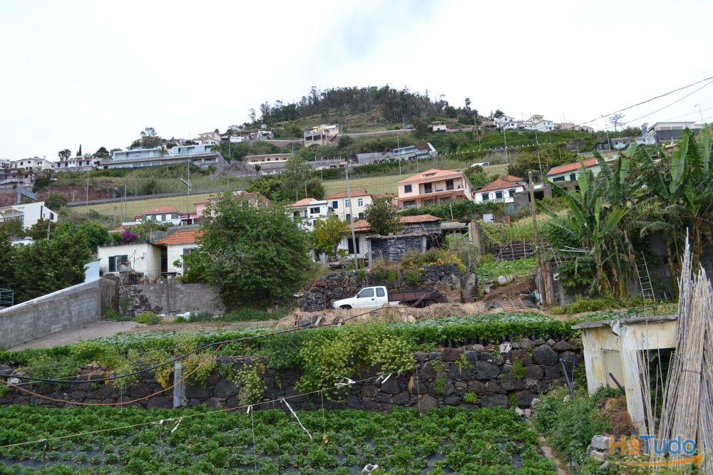 Terreno em São Gonçalo linda vista baía do Funchal