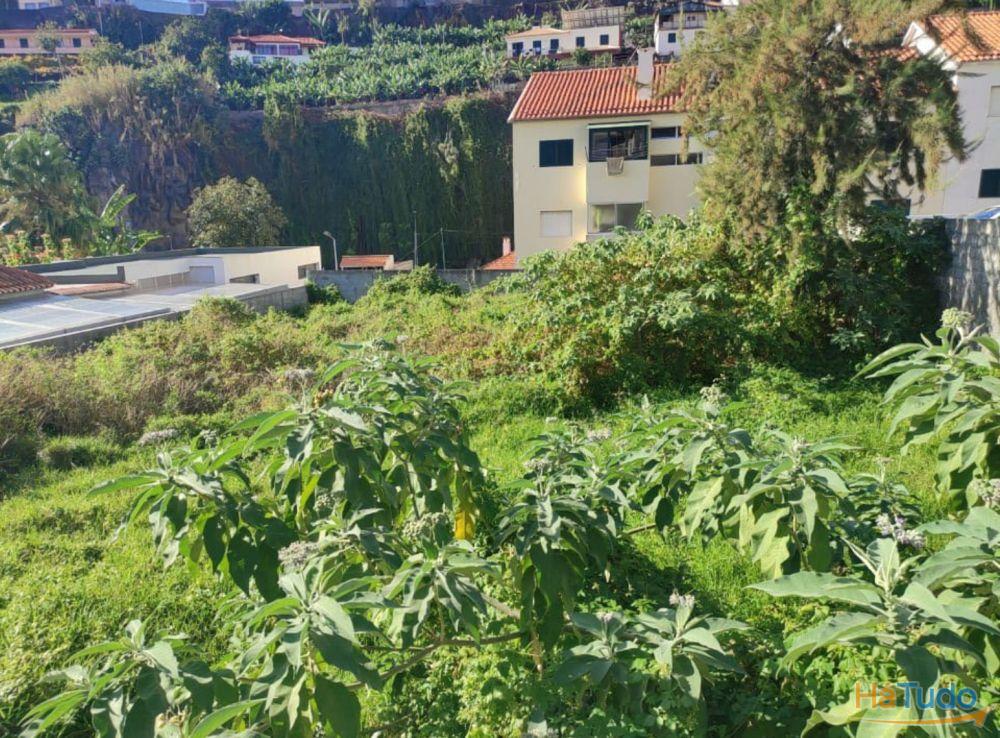 Terreno centro do Funchal com  projecto aprovado Alvará para construção de edifício com 5 apartamentos.