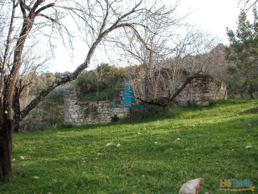 Terreno com ruína localizado nas redondezas de Monte seco