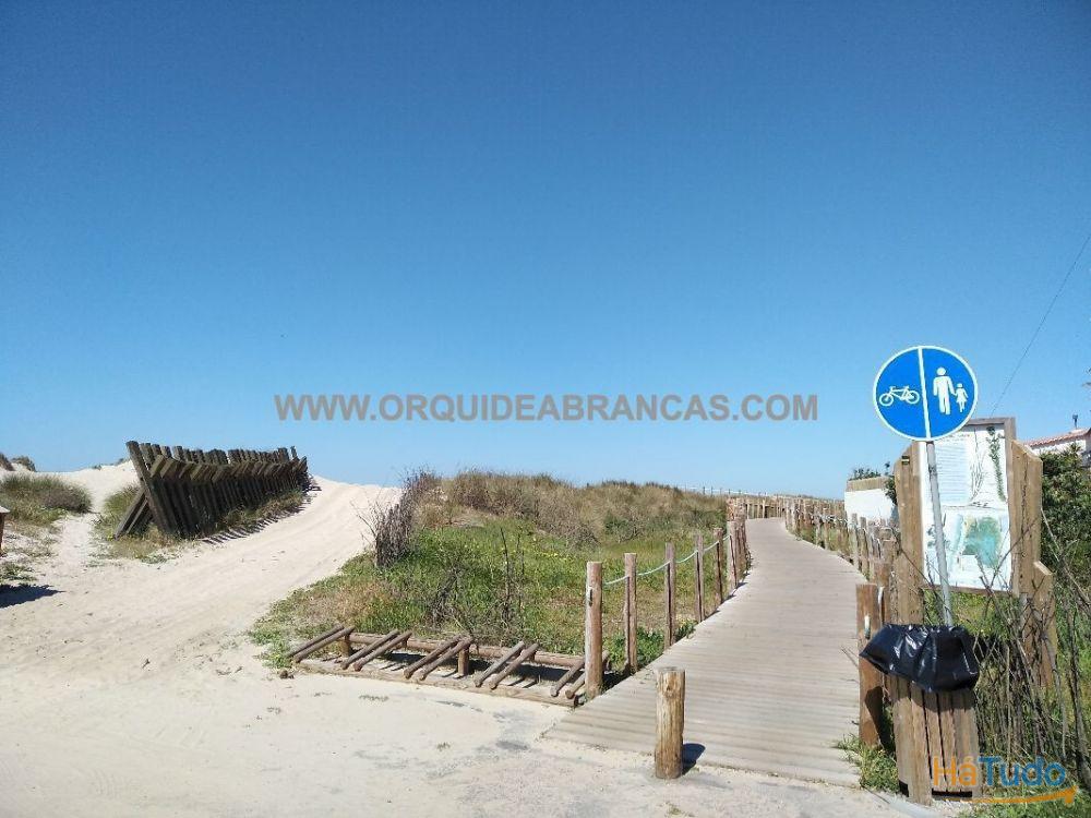 Venda Terreno - Esmoriz, Praia