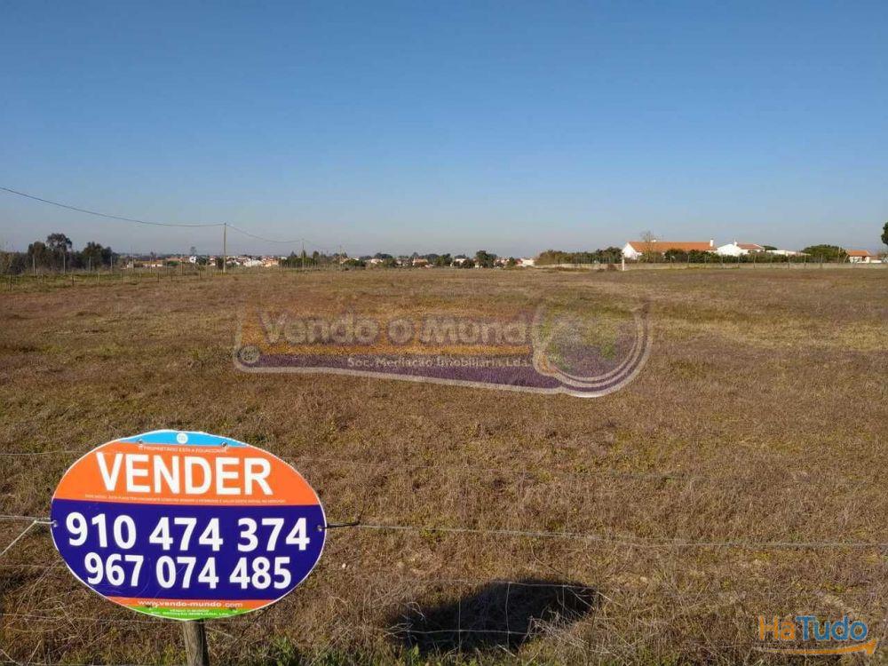 Terreno em Foros de Salvaterra (F615)