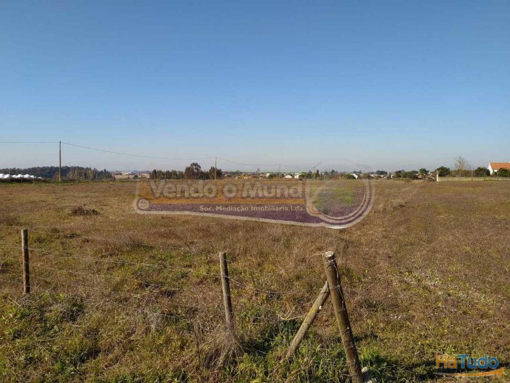 Terreno em Foros de Salvaterra (F615)
