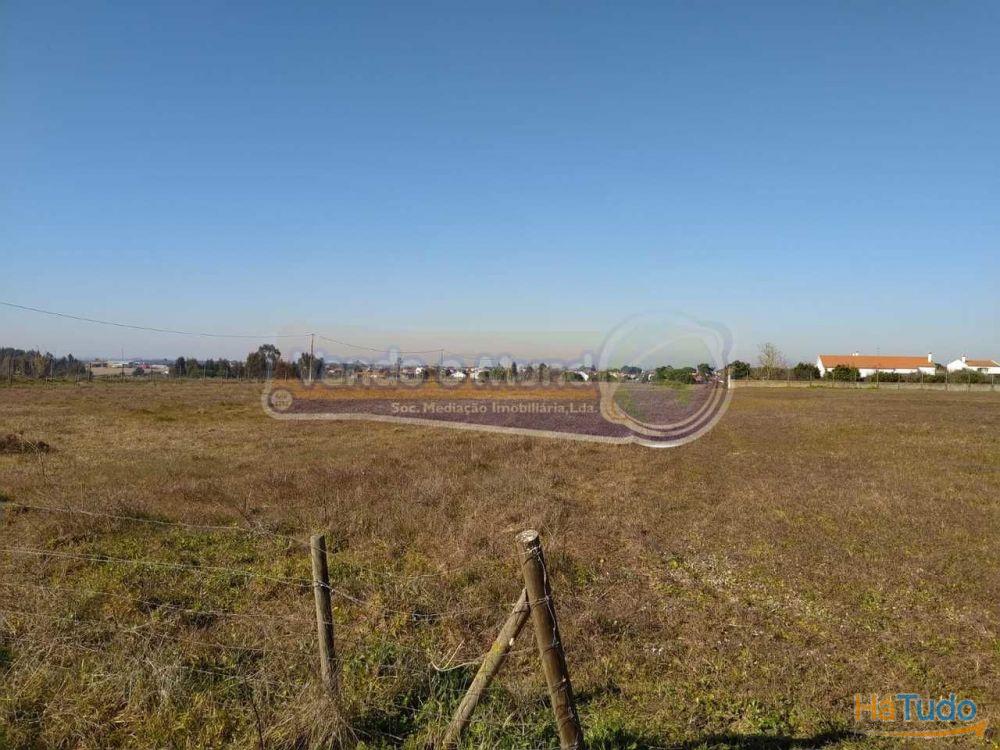 Terreno em Foros de Salvaterra (F615)
