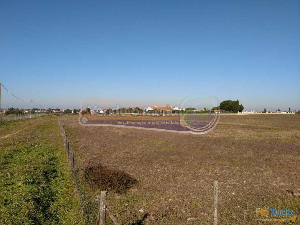 Terreno em Foros de Salvaterra (F615)