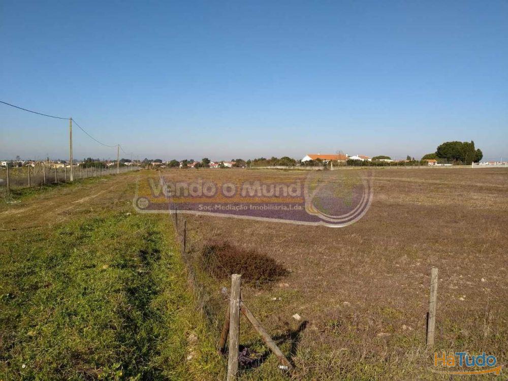 Terreno em Foros de Salvaterra (F615)