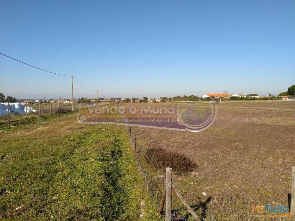 Terreno em Foros de Salvaterra (F615)