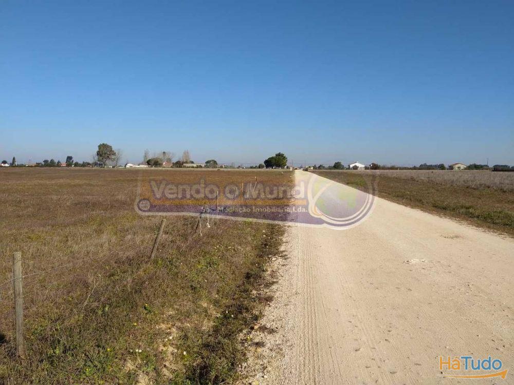 Terreno em Foros de Salvaterra (F615)