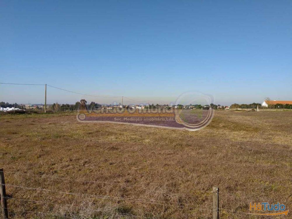 Terreno em Foros de Salvaterra (F615)