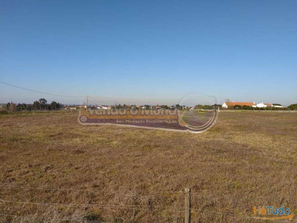 Terreno em Foros de Salvaterra (F615)