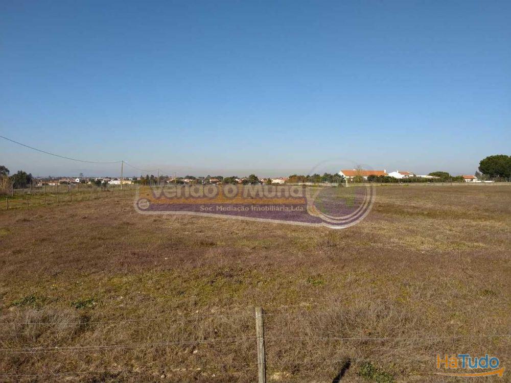 Terreno em Foros de Salvaterra (F615)