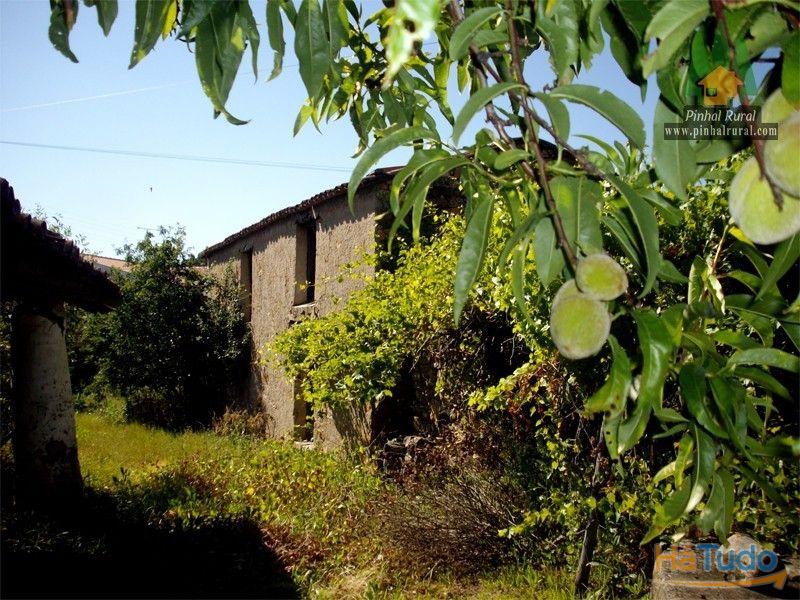 Casa rústica com vários anexos e quintal no centro da Aldeia, para recuperação total.