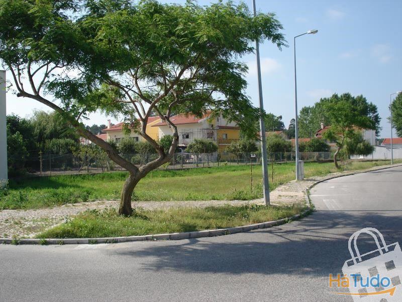 Oportunidade! Lotes de terreno com área de construção 350m2, em zona plana e calma. Centro da Cidade da Marinha Grande. Oportunidade! Lotes de terreno com área de construção 350m2, em zona plana e calma. Centro da Cidade da Marinha Grande.