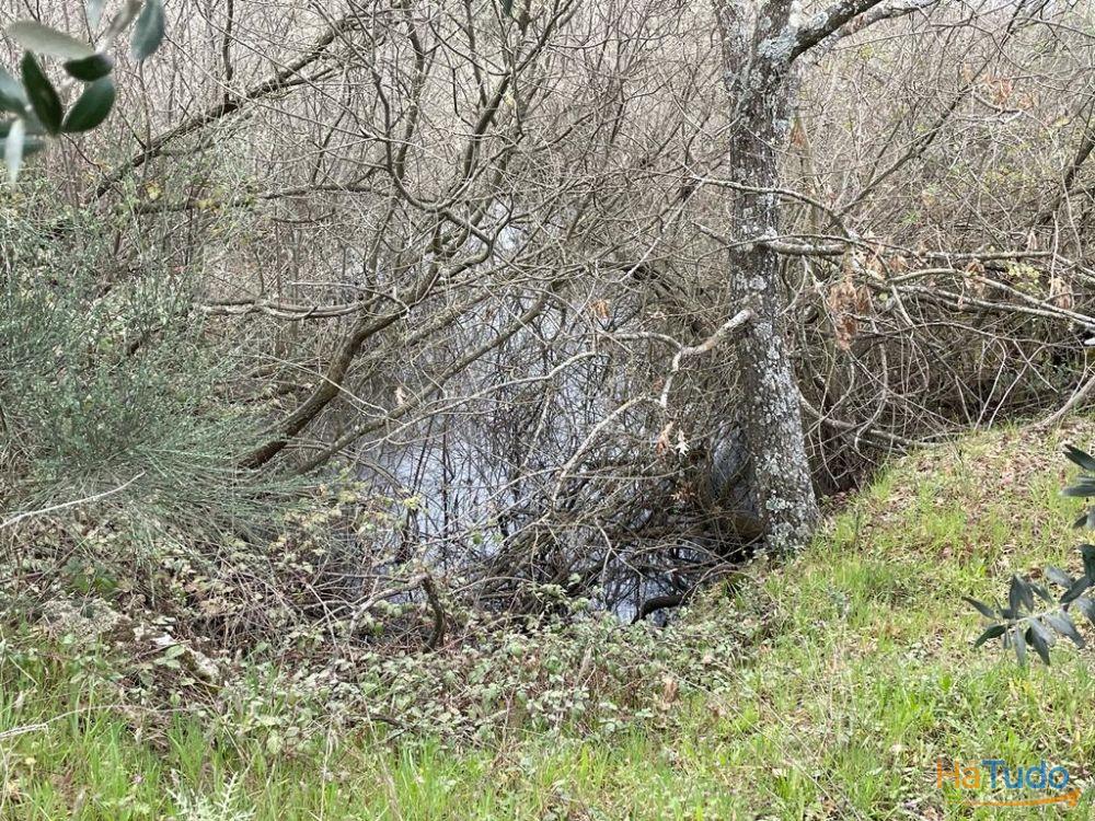 Terreno Rústico com cerca de 1,5Ha na freguesia da Orca Terreno Rústico com cerca de 1,5Ha na freguesia da Orca