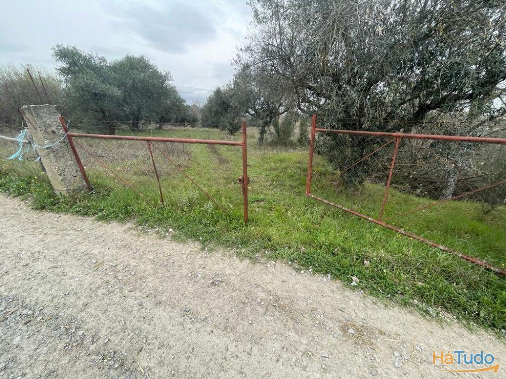 Terreno Rústico com cerca de 1,5Ha na freguesia da Orca Terreno Rústico com cerca de 1,5Ha na freguesia da Orca