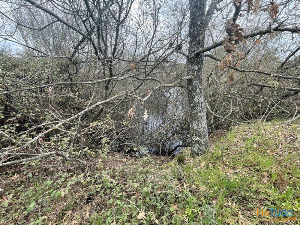 Terreno Rústico com cerca de 1,5Ha na freguesia da Orca Terreno Rústico com cerca de 1,5Ha na freguesia da Orca