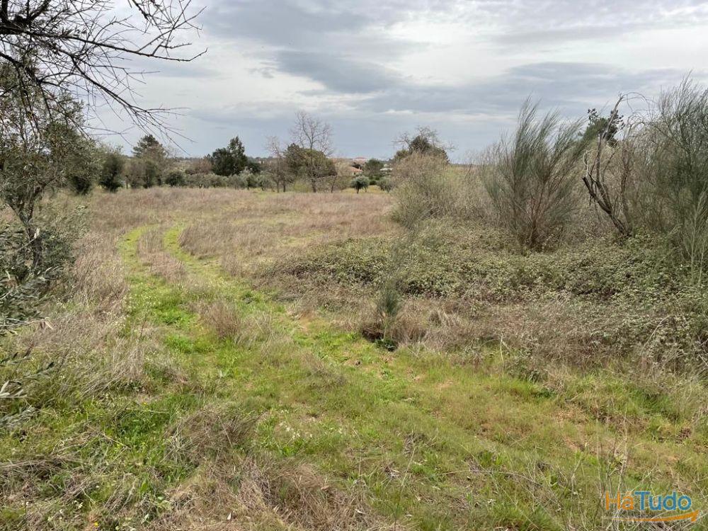 Terreno Rústico com cerca de 1,5Ha na freguesia da Orca Terreno Rústico com cerca de 1,5Ha na freguesia da Orca
