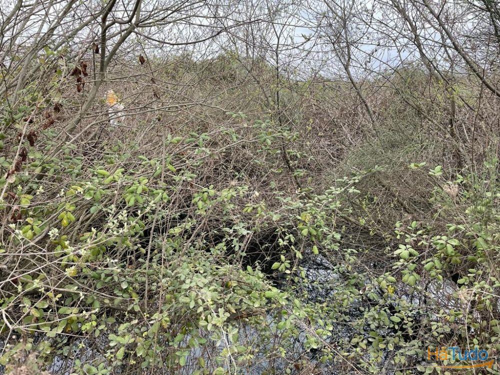 Terreno Rústico com cerca de 1,5Ha na freguesia da Orca Terreno Rústico com cerca de 1,5Ha na freguesia da Orca