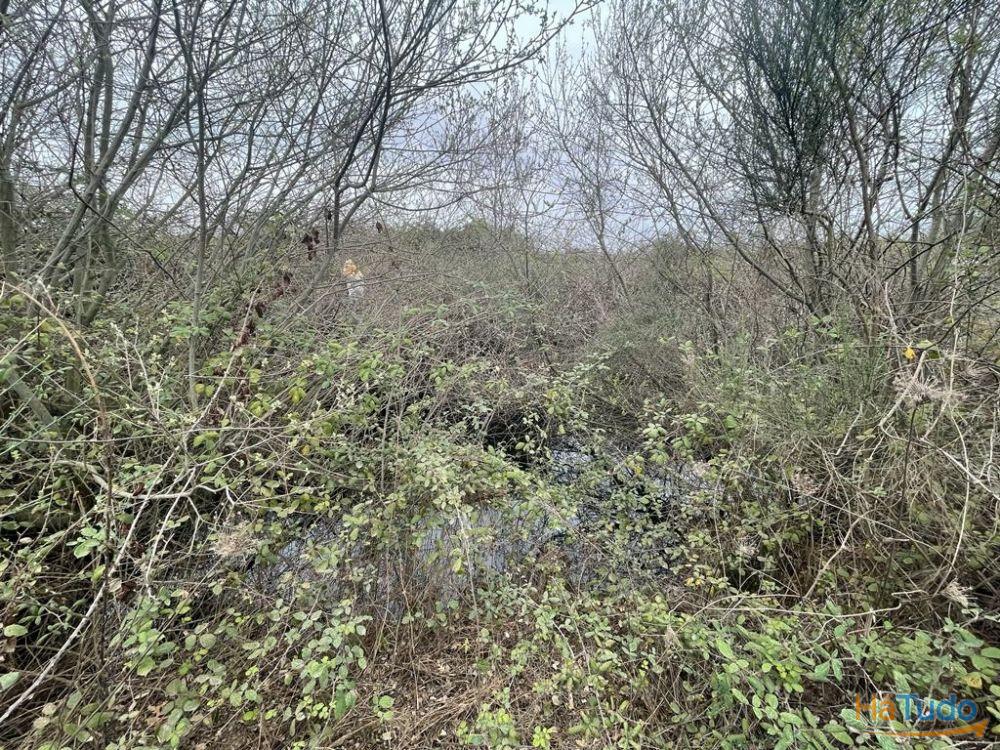 Terreno Rústico com cerca de 1,5Ha na freguesia da Orca Terreno Rústico com cerca de 1,5Ha na freguesia da Orca