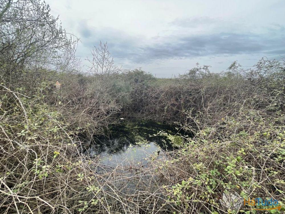 Terreno Rústico com cerca de 1,5Ha na freguesia da Orca Terreno Rústico com cerca de 1,5Ha na freguesia da Orca