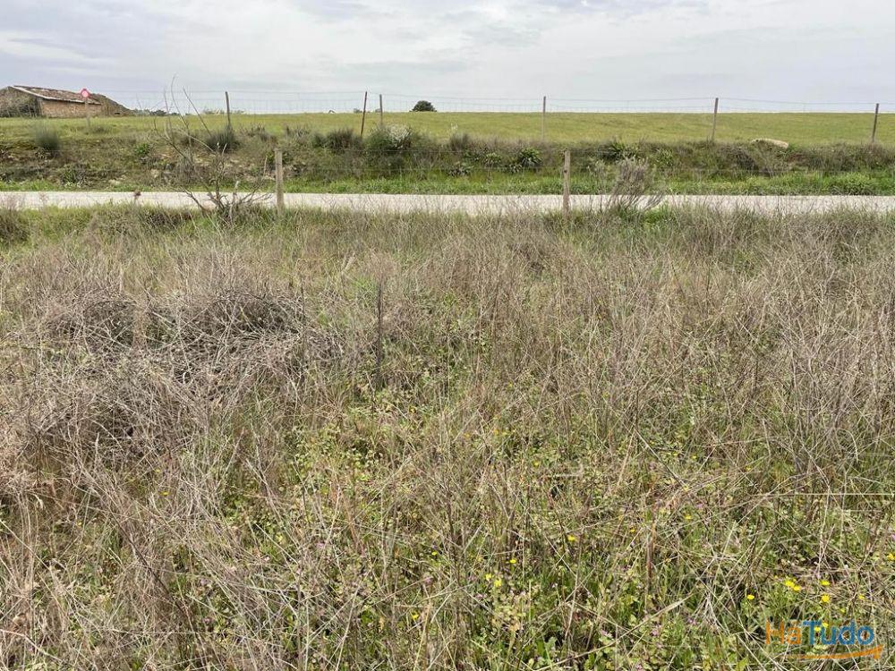 Terreno Rústico com cerca de 1,5Ha na freguesia da Orca Terreno Rústico com cerca de 1,5Ha na freguesia da Orca