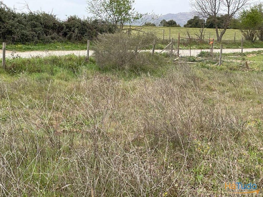 Terreno Rústico com cerca de 1,5Ha na freguesia da Orca Terreno Rústico com cerca de 1,5Ha na freguesia da Orca