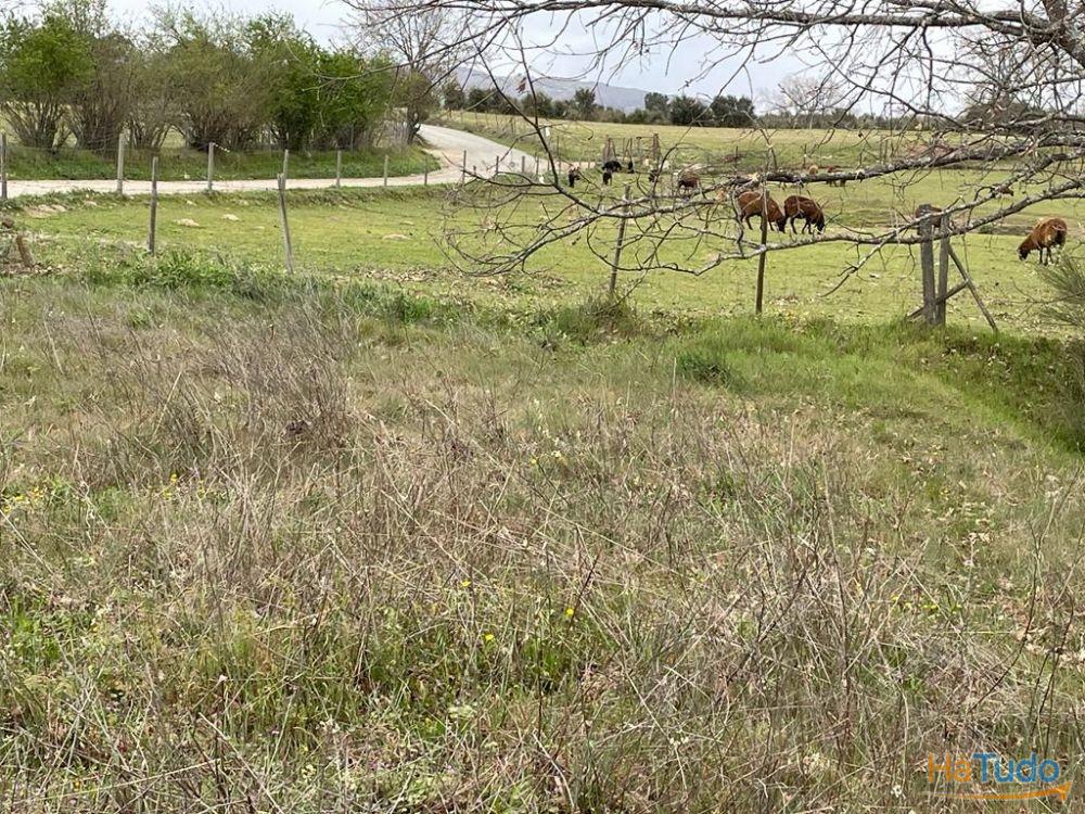 Terreno Rústico com cerca de 1,5Ha na freguesia da Orca Terreno Rústico com cerca de 1,5Ha na freguesia da Orca