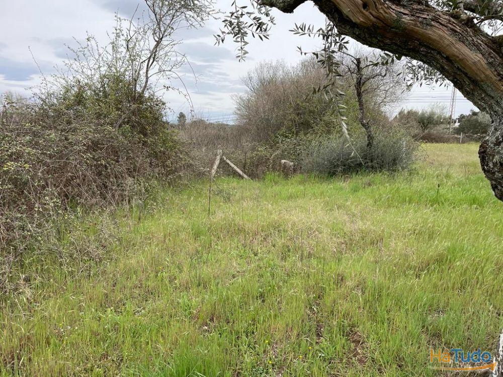 Terreno Rústico com cerca de 1,5Ha na freguesia da Orca Terreno Rústico com cerca de 1,5Ha na freguesia da Orca