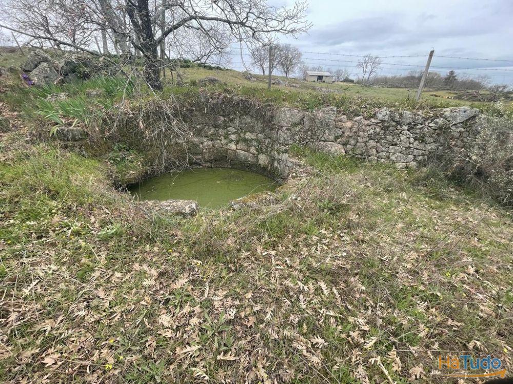 Terreno Rústico com cerca de 1,5Ha na freguesia da Orca Terreno Rústico com cerca de 1,5Ha na freguesia da Orca