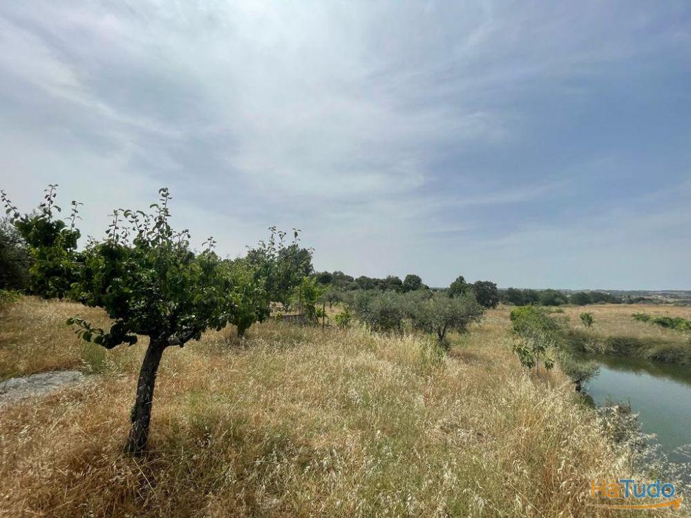 Quinta T1 Venda em Orca,Fundão Quinta T1 Venda em Orca,Fundão