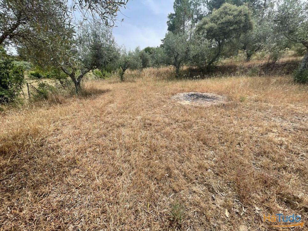 Quinta T1 Venda em Orca,Fundão Quinta T1 Venda em Orca,Fundão