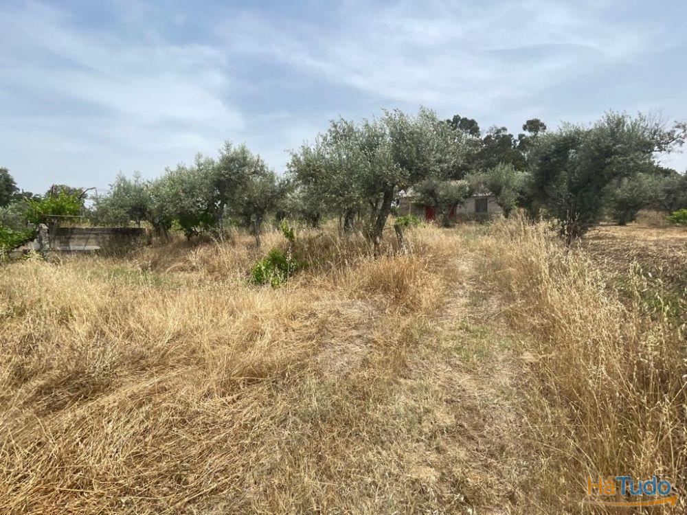 Quinta T1 Venda em Orca,Fundão Quinta T1 Venda em Orca,Fundão