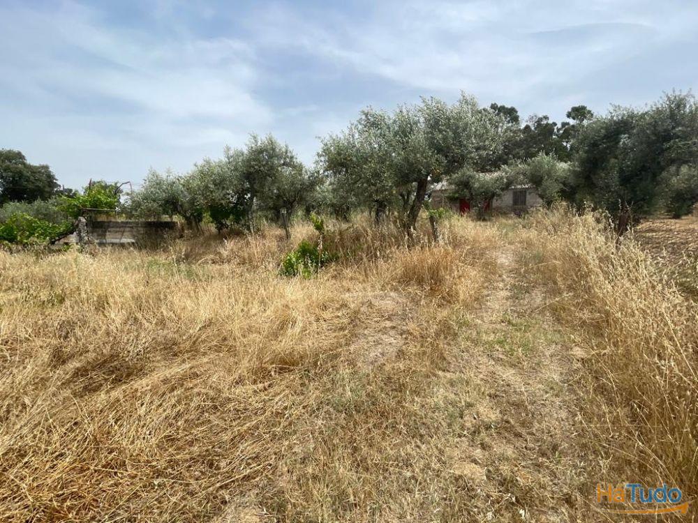 Quinta T1 Venda em Orca,Fundão Quinta T1 Venda em Orca,Fundão