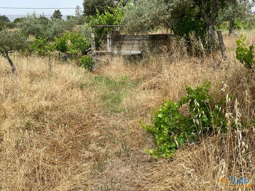 Quinta T1 Venda em Orca,Fundão Quinta T1 Venda em Orca,Fundão