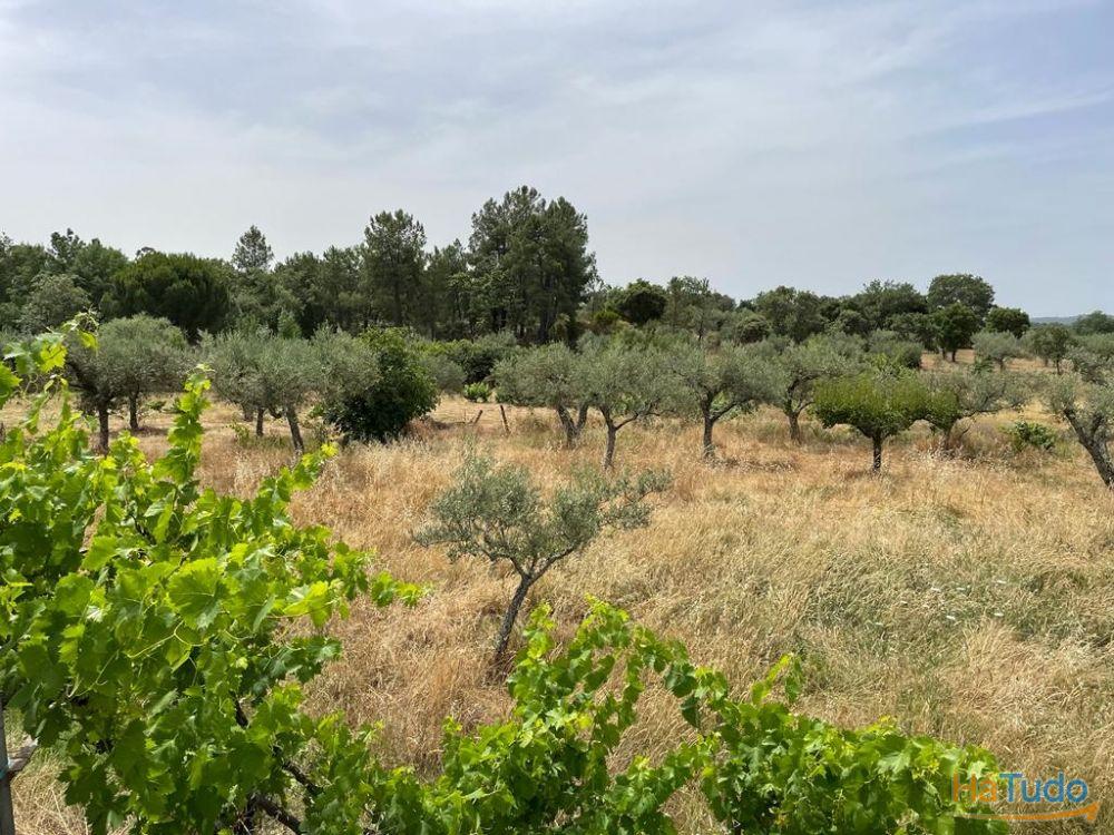 Quinta T1 Venda em Orca,Fundão Quinta T1 Venda em Orca,Fundão