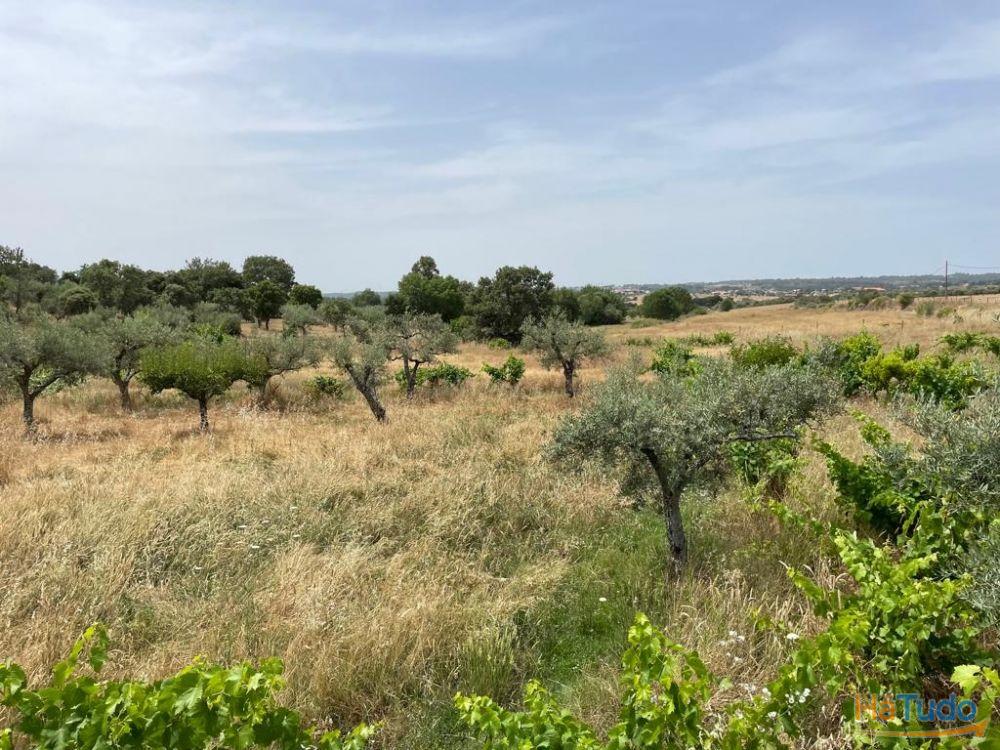 Quinta T1 Venda em Orca,Fundão Quinta T1 Venda em Orca,Fundão