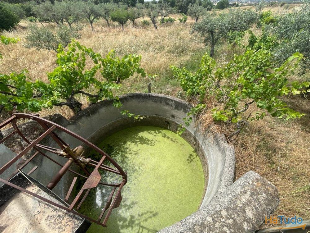 Quinta T1 Venda em Orca,Fundão Quinta T1 Venda em Orca,Fundão