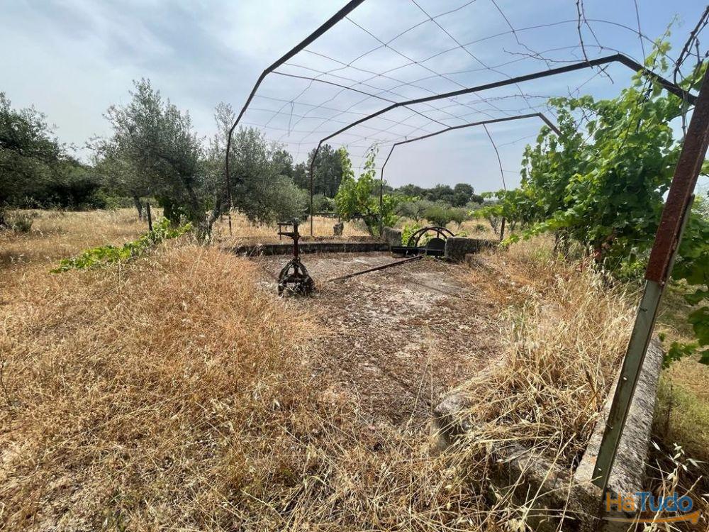 Quinta T1 Venda em Orca,Fundão Quinta T1 Venda em Orca,Fundão