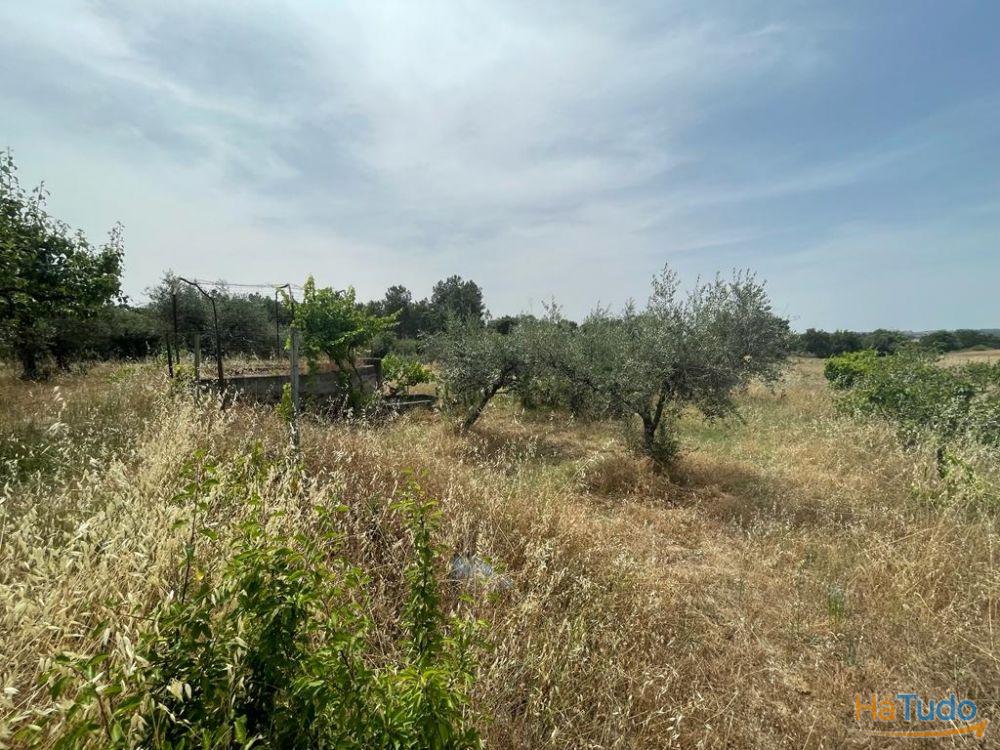 Quinta T1 Venda em Orca,Fundão Quinta T1 Venda em Orca,Fundão