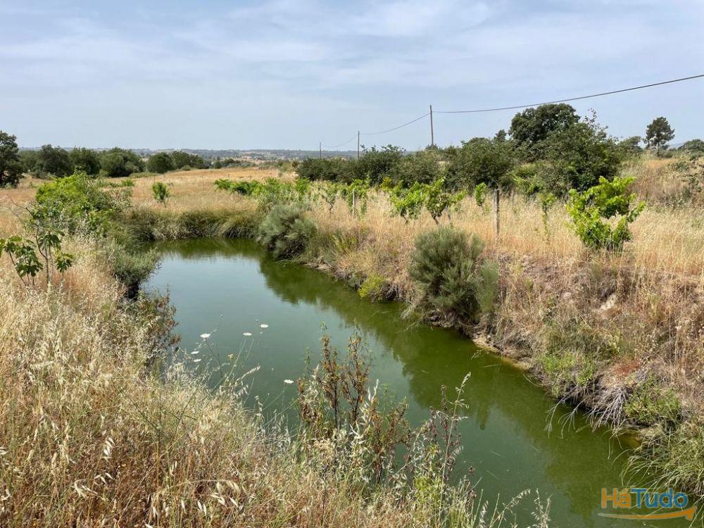 Quinta T1 Venda em Orca,Fundão Quinta T1 Venda em Orca,Fundão