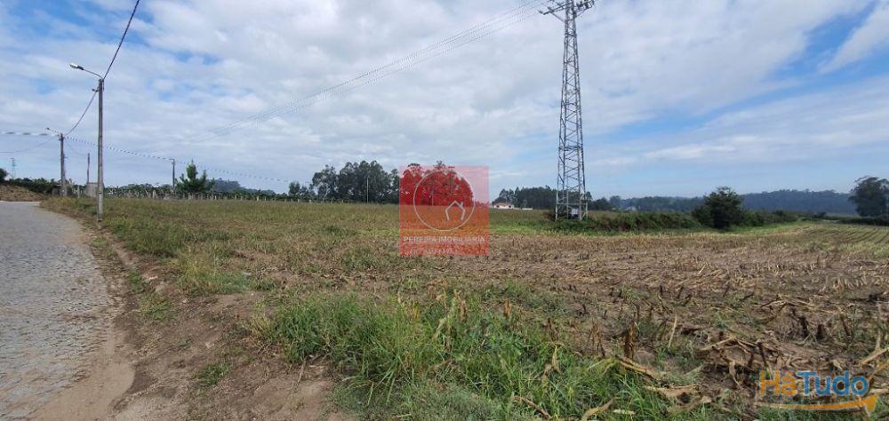 Terreno Construção Macieira da Maia Terreno Construção Macieira da Maia