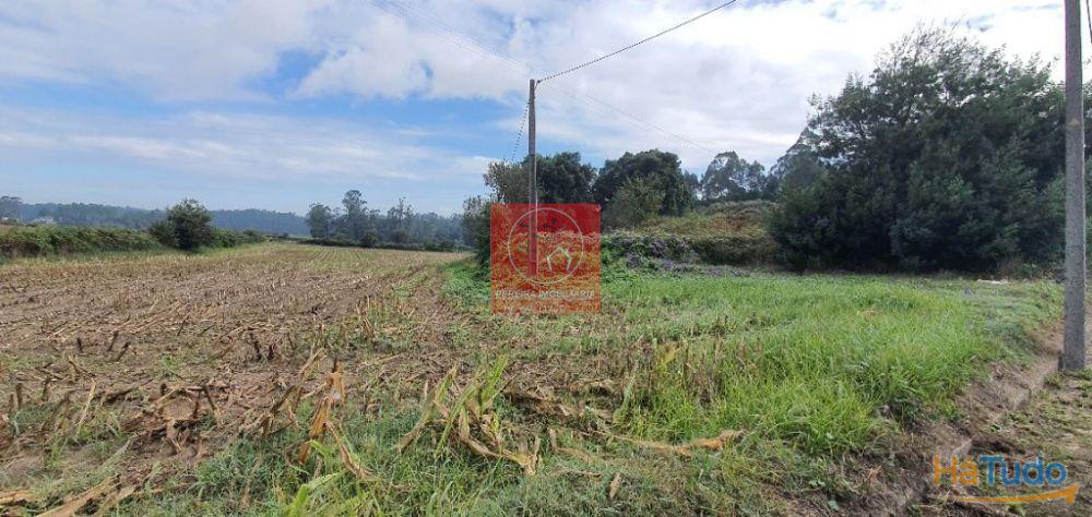 Terreno Construção Macieira da Maia Terreno Construção Macieira da Maia