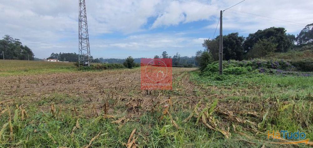 Terreno Construção Macieira da Maia Terreno Construção Macieira da Maia