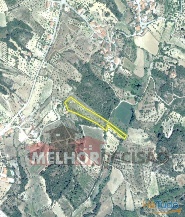 VENDIDO 02-05-2024 - Terreno Rústico - Chancelaria / Torres Novas com 0,972 ha - valor 10.000,00? VENDIDO 02-05-2024 - Terreno Rústico - Chancelaria / Torres Novas com 0,972 ha - valor 10.000,00?