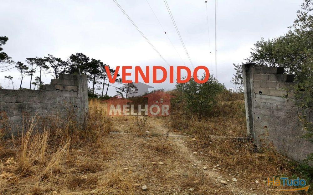 VENDIDO 02-05-2024 - Terreno Rústico - Chancelaria / Torres Novas com 0,972 ha - valor 10.000,00? VENDIDO 02-05-2024 - Terreno Rústico - Chancelaria / Torres Novas com 0,972 ha - valor 10.000,00?
