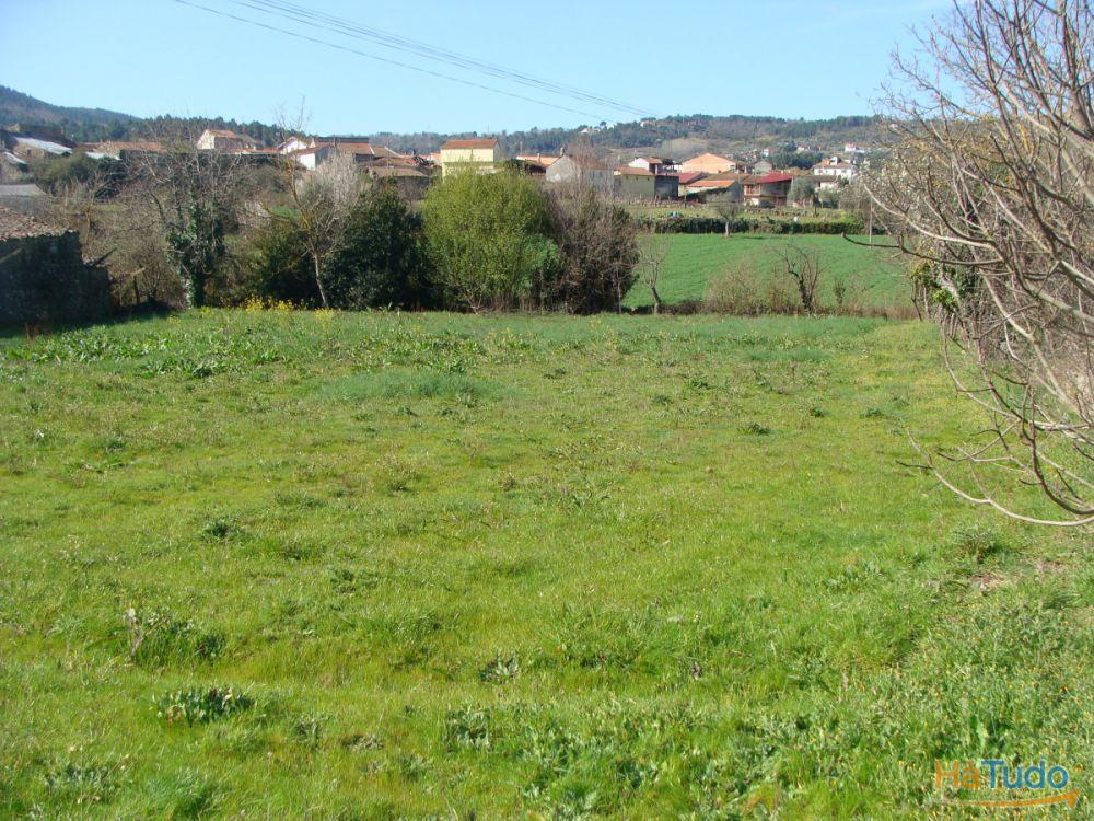 Quintinha com moradia T4 Quintinha com moradia T4