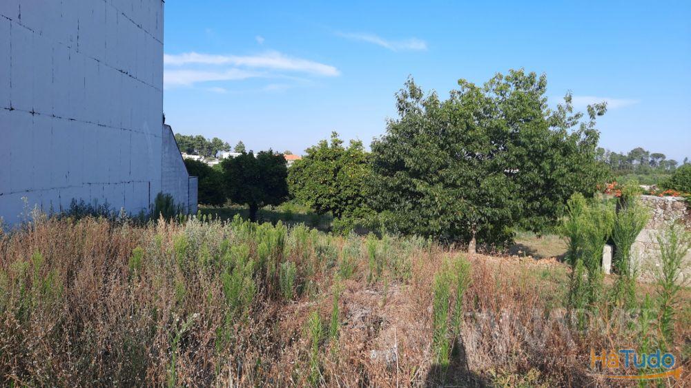 Lote de Terreno  Venda em So Joo de Lourosa,Viseu
