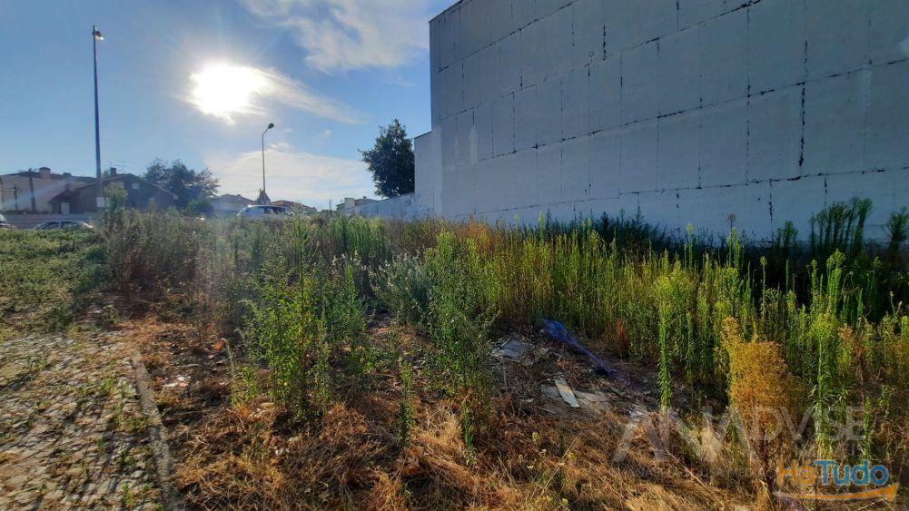 Lote de Terreno  Venda em So Joo de Lourosa,Viseu
